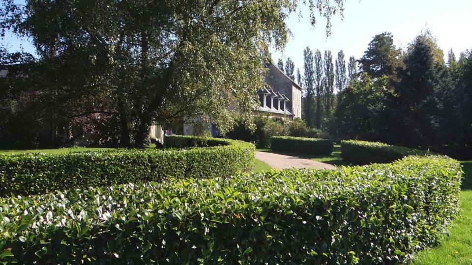 Le Moulin de Chareau Bed & Breakfast Reugny  Exterior foto